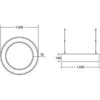 BRUMBERG Biro Circle Ring direct on/off 100cm silver 4000 K