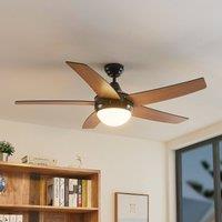 Lindby ceiling fan with light Auraya, quiet, black