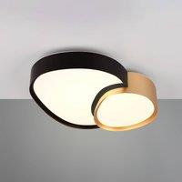 Trio Lighting LED ceiling lamp Rise, black-gold, 43 x 36 cm, CCT, dimmable