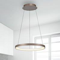 Paul Neuhaus LED hanging light Hoop, brown, 57 cm, dimmable