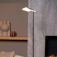 Lucide Aaron LED floor lamp, black, dimmable to warm, height 134 cm