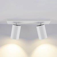 Deko-Light CAN TILT downlight, white, 31 x 9 cm, 2-bulb, metal GU10