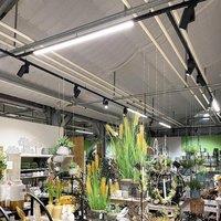Deko-Light LED track lamp LINEAR PRO black 930 60 cm 3-phase DALI