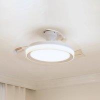 Philips LED ceiling fan Bliss, white/white, quiet, CCT