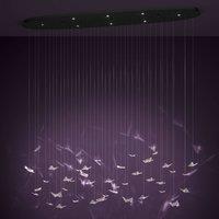 Stars of Light 