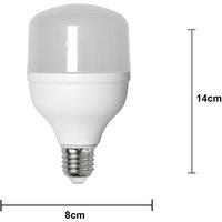 STAR TRADING LED bulb E27 20 W 6,500 K 2,700 lumens