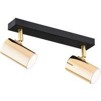 Argon Lund downlight in black and gold, 2-bulb