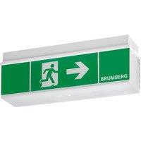 BRUMBERG Rescue One LED emergency exit light, ceiling-mounted