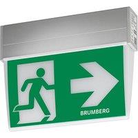 BRUMBERG Rescue Two LED emergency light IP41 wedge