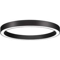 BRUMBERG Biro Circle, DALI black 3,000K 45 cm