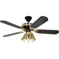 CasaFan Black Magic ceiling fan with light