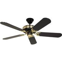 CasaFan Black Magic elegant ceiling fan