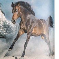 Duolla Print pendant light Horses