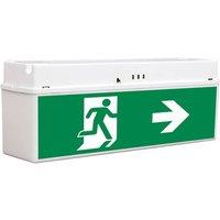 EGG LED emergency light, wall and ceiling installation