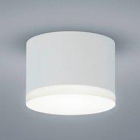 Helestra Pala - cylindrical LED downlight, white