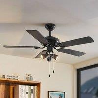 Lucande ceiling fan with light Anariki, quiet, black