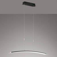 FISCHER & HONSEL Metis LED hanging light dimmable, CCT, black, 90cm