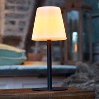 JUST LIGHT. GmbH Keno LED table lamp, ground spike, pull switch