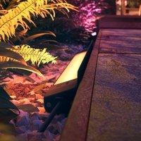 Philips Hue WACA Amarant floor light strip 24 V