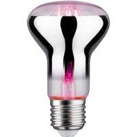 Paulmann LED grow light bulb E27 R63 6.5W