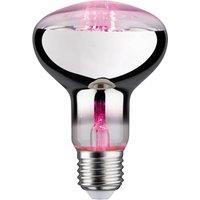 Paulmann LED grow light bulb E27 R80 6.5W