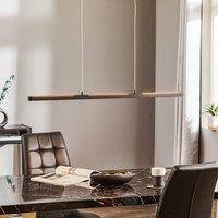 Paulmann Lento LED hanging light black dimmable Up-&Downlight