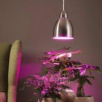 Paulmann Neordic Hilla pendant light, brushed iron