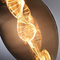 Paulmann LED bulb E27 3.5 W Helix 1,800K gold