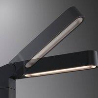 Paulmann Plug & Shine LED path lamp Ito, vertical, IP65