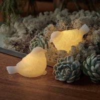 Sirius Sparrow LED decorative light set of 2