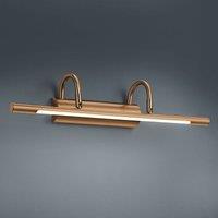 Trio Lighting LED picture wall light Lorena, antique brass