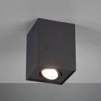 Trio Lighting Biscuit ceiling light, one-bulb, black