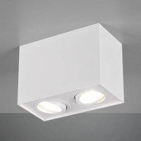 Trio Lighting Biscuit ceiling light, two-bulb, white