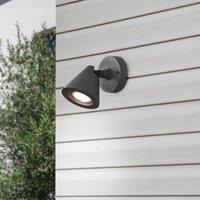 Trio Lighting Kaveri outdoor wall light, aluminium, anthracite