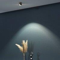 Top Light Puk Mini Move G9 spot, clear lens, matt nickel