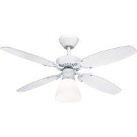 Westinghouse Capitol fan, white and beech blades