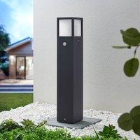 Lucande Dewari path light, motion detector, E27, 65cm, IP54