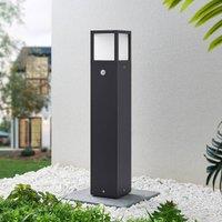 Lucande Dewari LED path light, motion detector, 65 cm, IP54