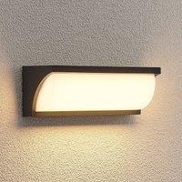 Lucande Aune LED outdoor wall light
