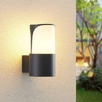 Lucande Paikea outdoor wall light