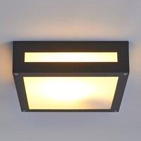 Lucande Nerea rectangular outdoor ceiling light