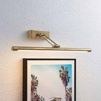 Lucande Dimitrij LED picture light antique brass