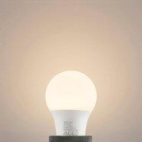 Arcchio LED bulb E27 A60 4.9W opal 3,000K 480 lm