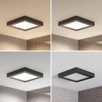 Prios LED ceiling lamp Alette, black, 24 W, CCT, dimmable