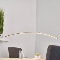 Lindby Puristic LED pendant lamp Iven