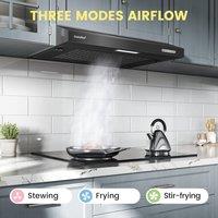 60cm Under Cabinet Wall-Mount Cooker Range Hood with 3-Speed Modes