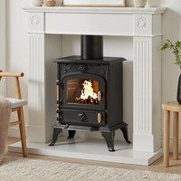 Freestanding Cast Iron Wood Burning Stove Fireplace