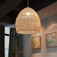 Lightsin Rattan Art Pendant Light Hanging Decor Rustic Style
