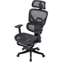 Professional Mesh Office Chair Collection Standard Regular Premium Models