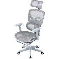 Professional Mesh Office Chair Collection Standard Regular Premium Models